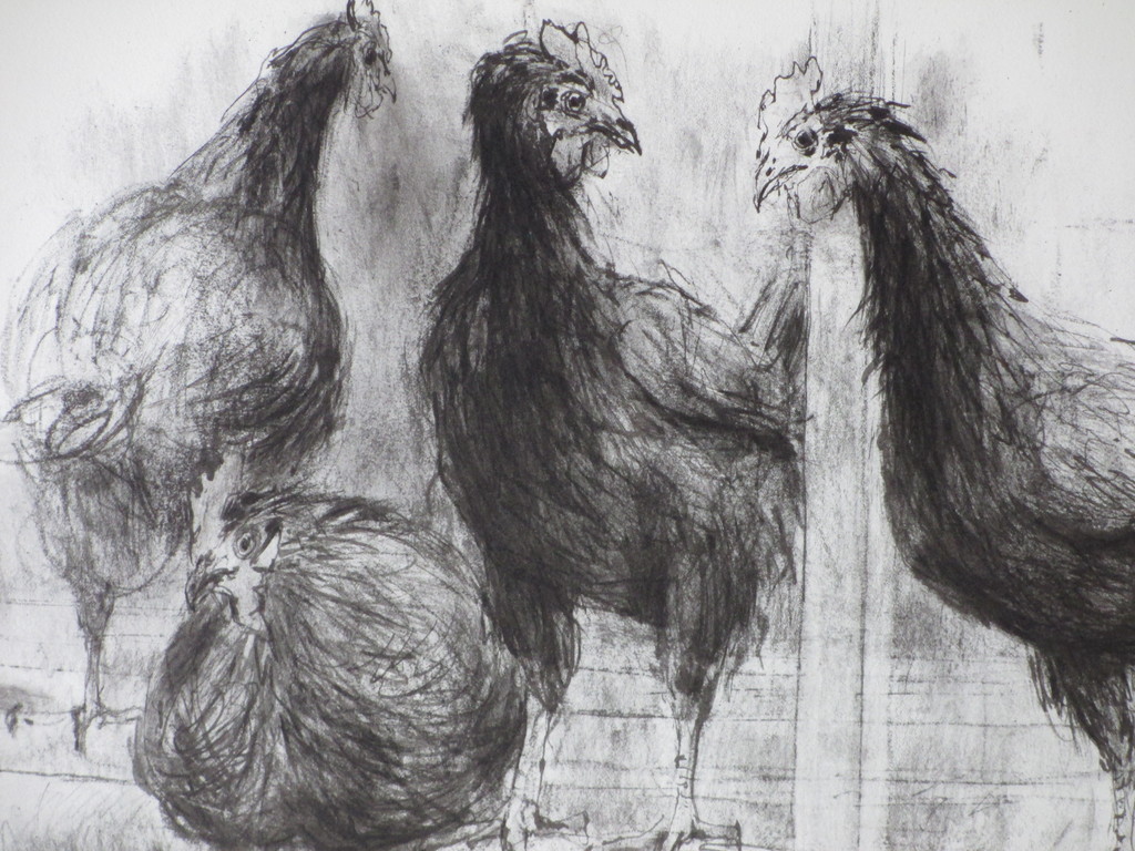Piet Klaasse, Kippen, Litho kopen? Bied vanaf 1!