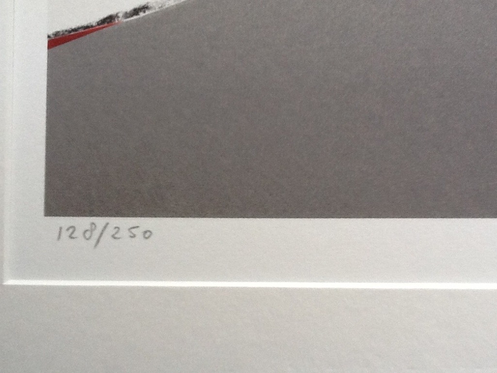 Peter Bes, Kleurenlitho, gesigneerd, 1996 kopen? Bied vanaf 50!