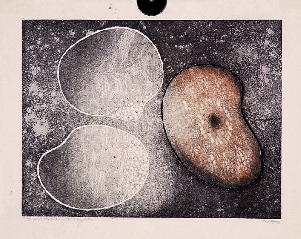 Harry van Kruiningen: Kleurenets/Aquatint. Cellen/Algen verkocht voor € 70!