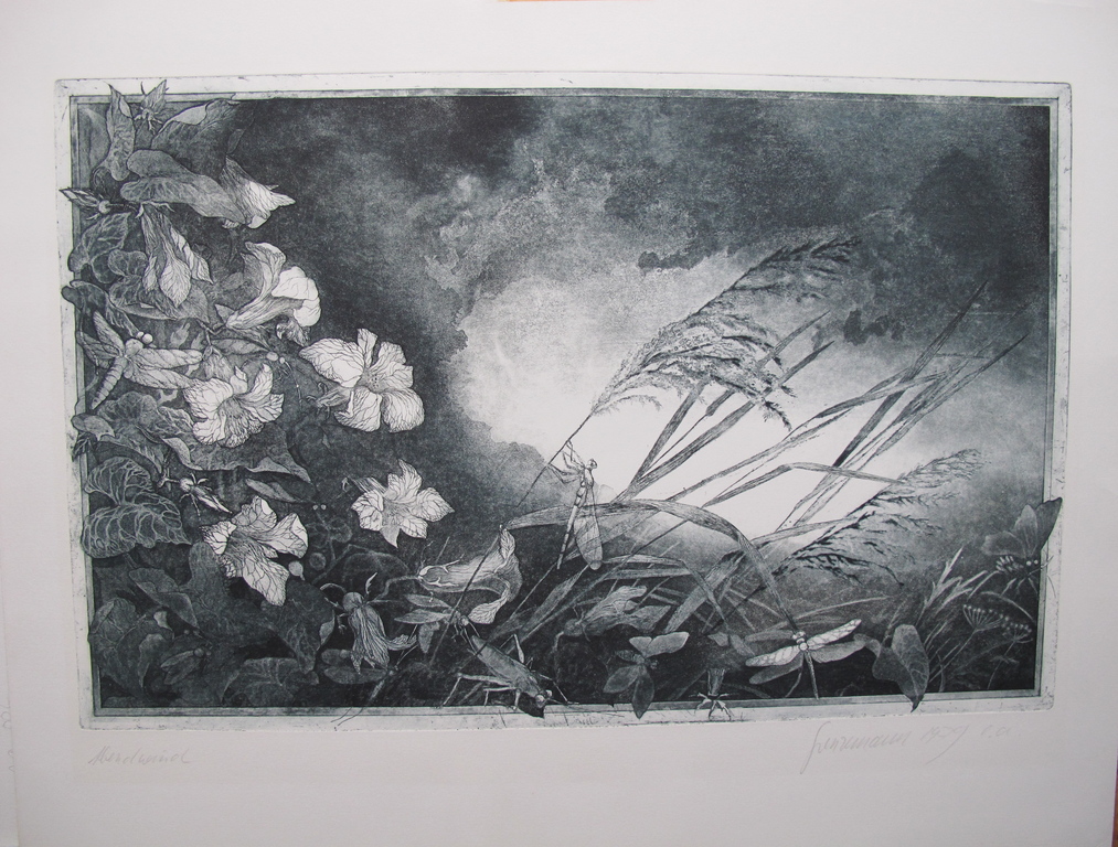 Jürgen Grenzemann: kleurets uit 1979  kopen? Bied vanaf 30!