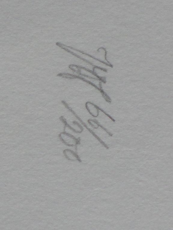 Peter Vos, Narrenschip met Uil, Litho kopen? Bied vanaf 80!