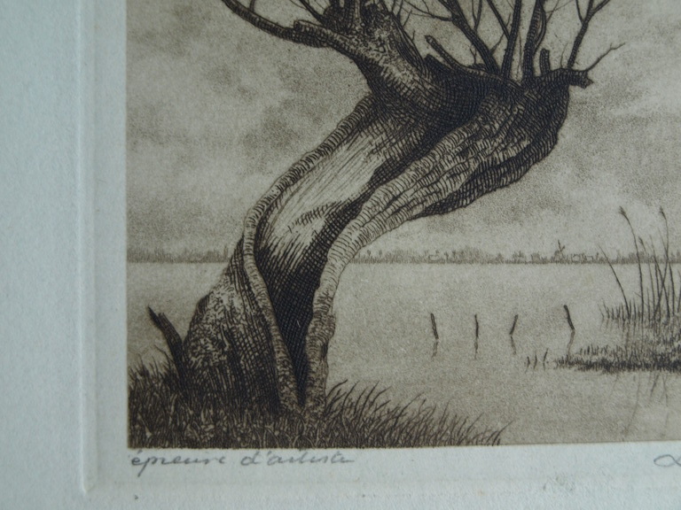 Dirk Harting (1884-1970) : Ets – Knotwilg aan het water – gesigneerd – ca 1935 kopen? Bied vanaf 25!