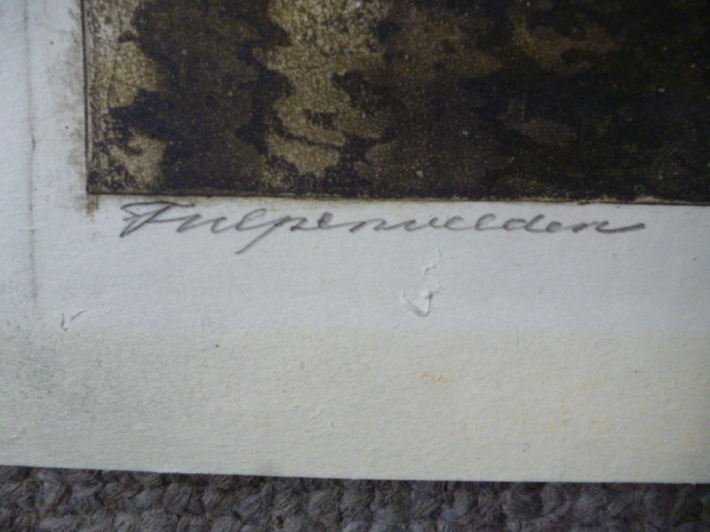 Cornelis Brandenburg - kleurenets - Tulpenveld kopen? Bied vanaf 140!