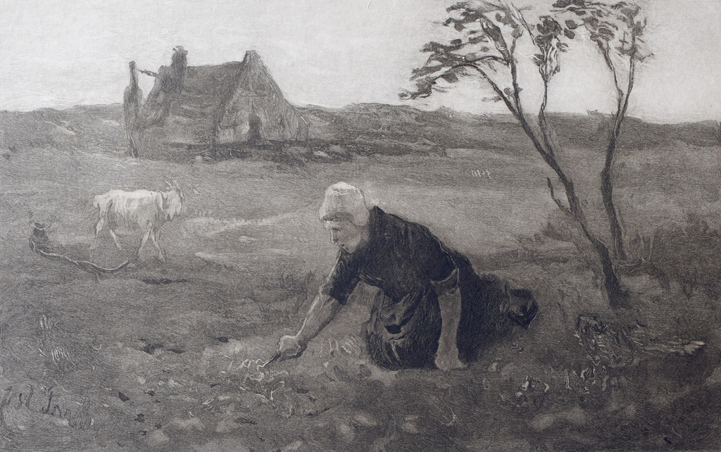 Johannes Mattheus Graadt van Roggen (1867 - 1959) - Werkende boerin op land kopen? Bied vanaf 1!