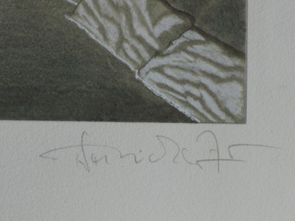 Onbekende kunstenaar, Der Baum, Kleurenlitho kopen? Bied vanaf 1!