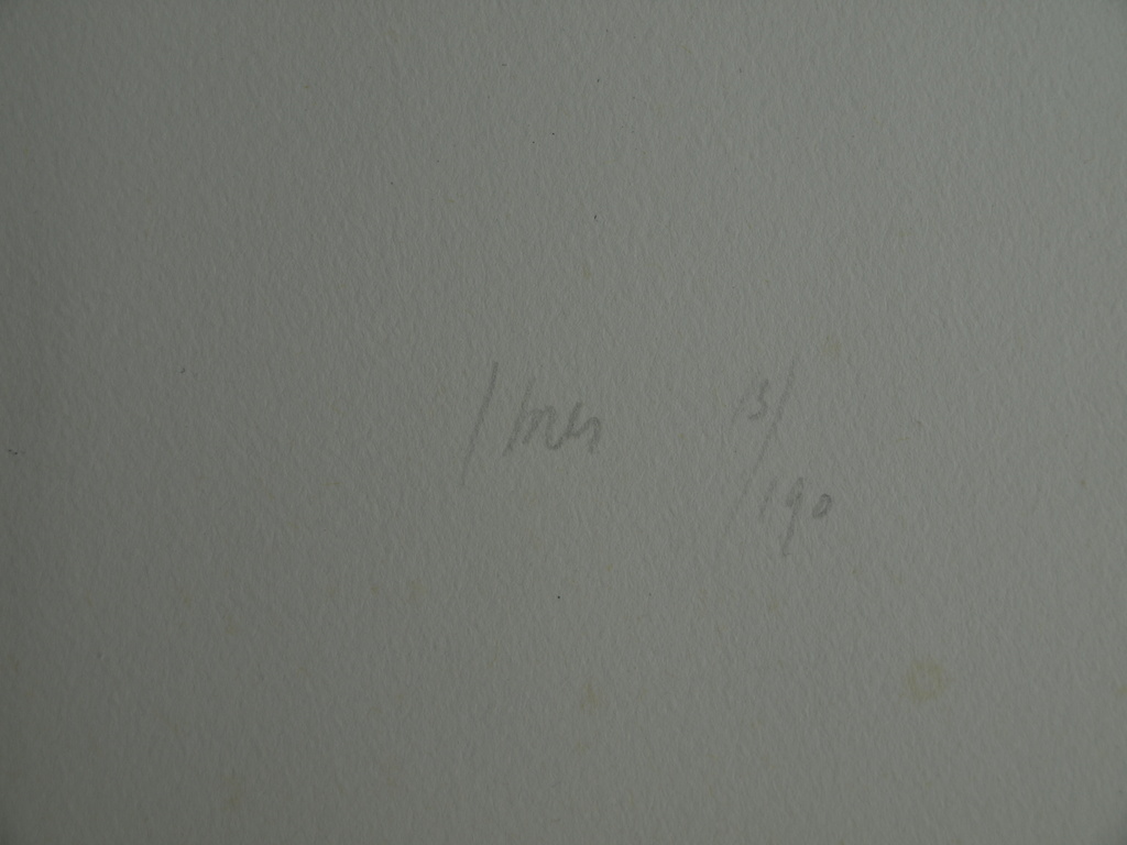 Han Mes : Litho – Voortvluchtend – Gesigneerd – ca 1965 – Prent 190 kopen? Bied vanaf 1!