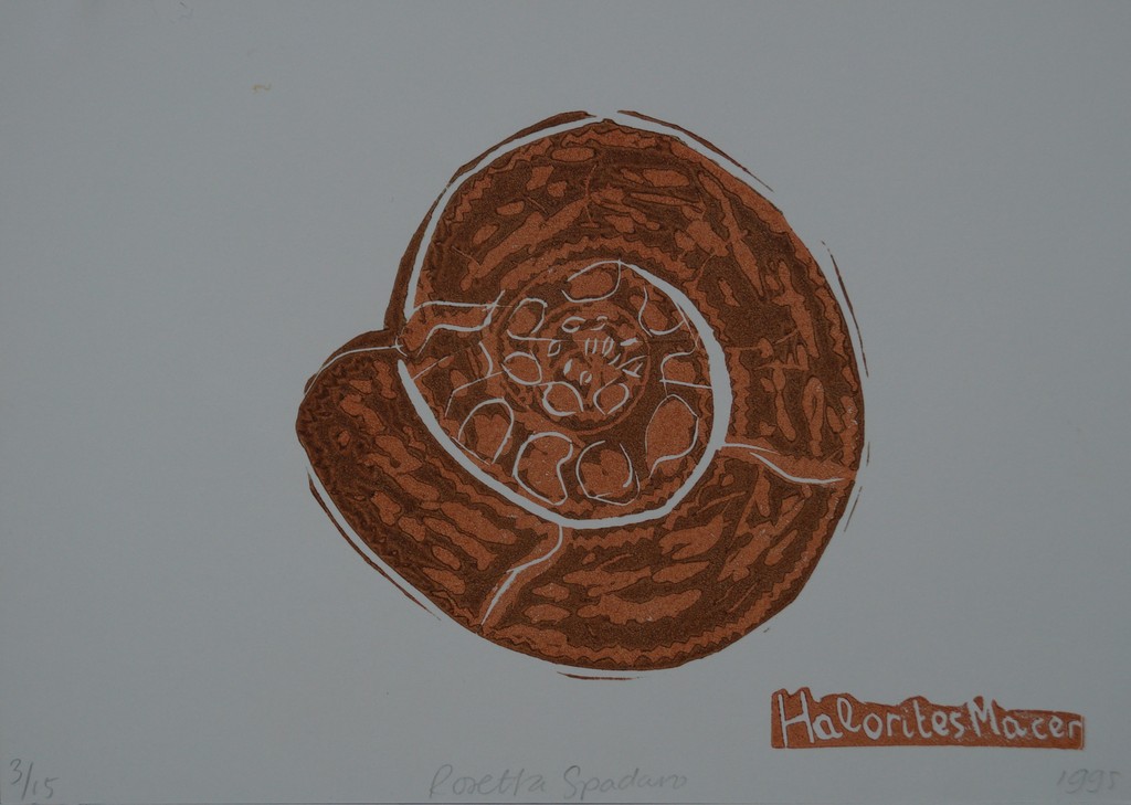 Rosetta Spadaro - serie van 3 gesigneerde linosnedes - ammonieten kopen? Bied vanaf 10!