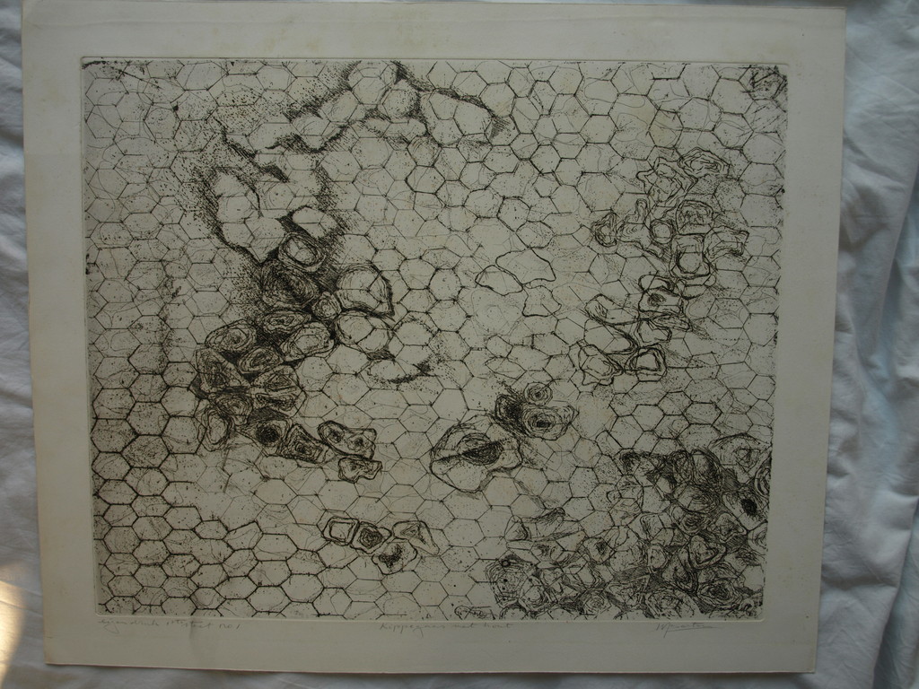 Walter Barten : Ets , Kippegaas met hout – gesigneerd – ca 1980 kopen? Bied vanaf 1!