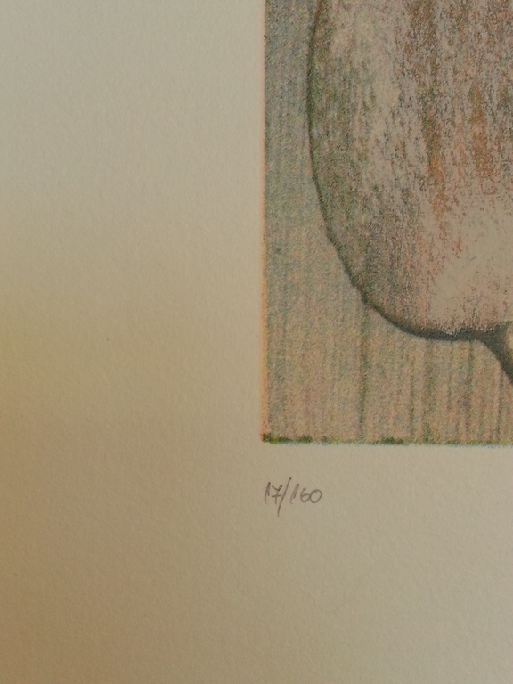 Jan te Wierik, zeefdruk op papier, titel  kopen? Bied vanaf 125!