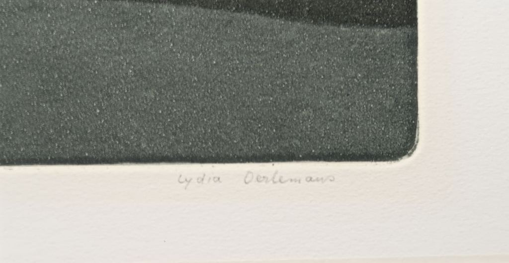 Lydia Oerlemans: Ets, Zonder titel VII kopen? Bied vanaf 50!