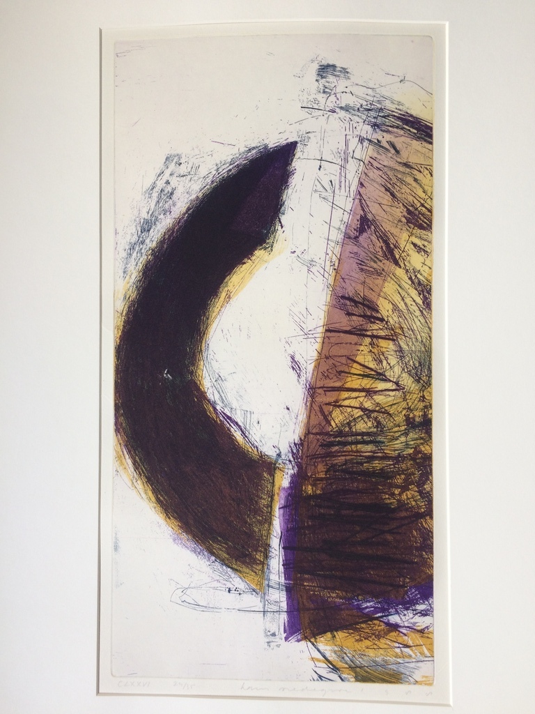 Hans Vredegoor, kleurenets in perfecte staat 24/35 uit 1988 verkocht voor € 65!