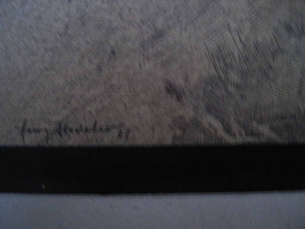 Virtuose Lithografiekunst van Georg Hadeler (1939-) "Razor sharp" gesigneerd kopen? Bied vanaf 1!