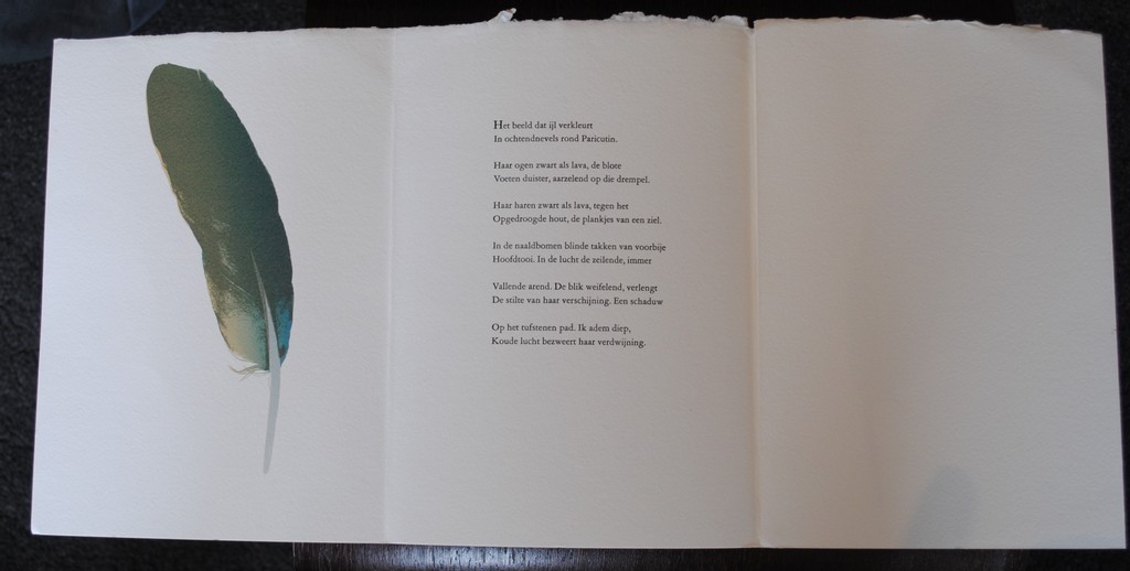 Jan Hendrix - 2 ingekleurde zeefdrukken 'Paricutin' - 1990 kopen? Bied vanaf 20!