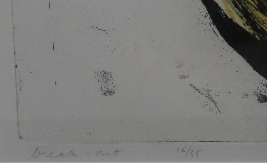 Hans Vredegoor: Kleurenets, Break Out -Ingelijst kopen? Bied vanaf 35!