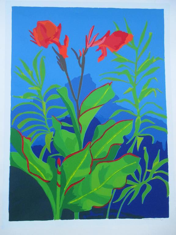 Henk van der Plas, Vegetatie, Zeefdruk kopen? Bied vanaf 45!