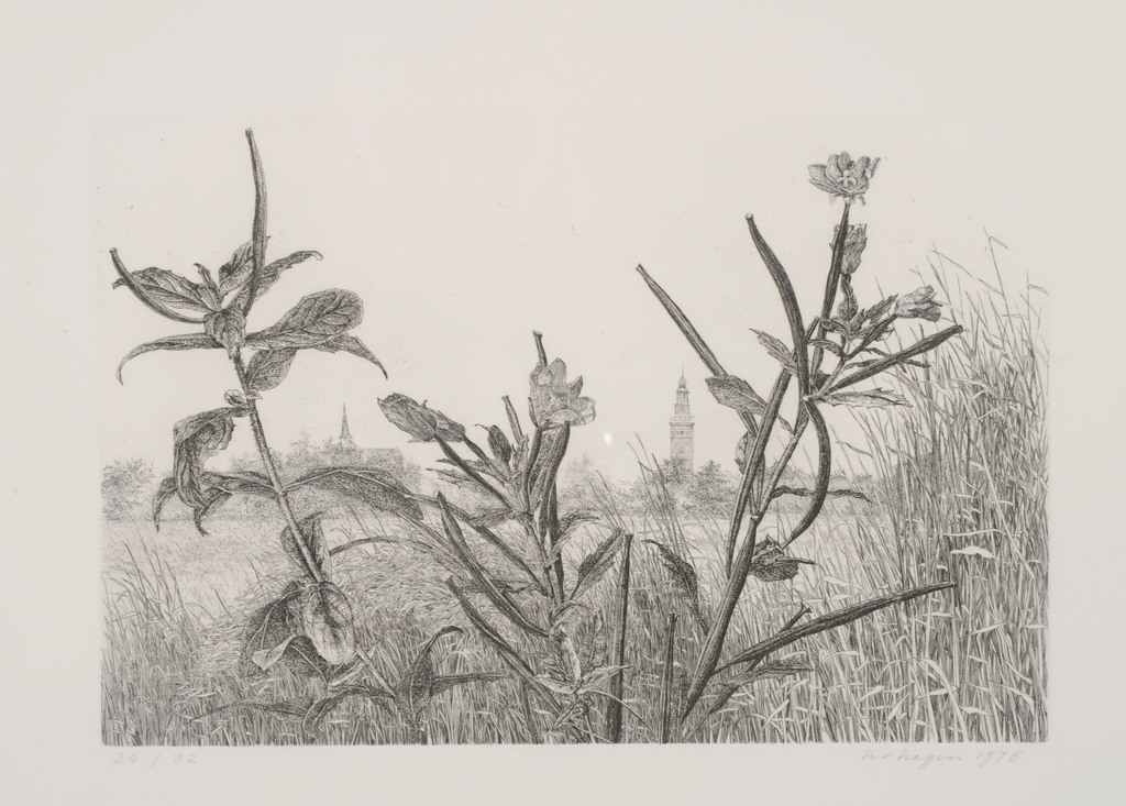 Han van Hagen: Ets en aquatint, Onkruid - Ingelijst verkocht voor € 35!