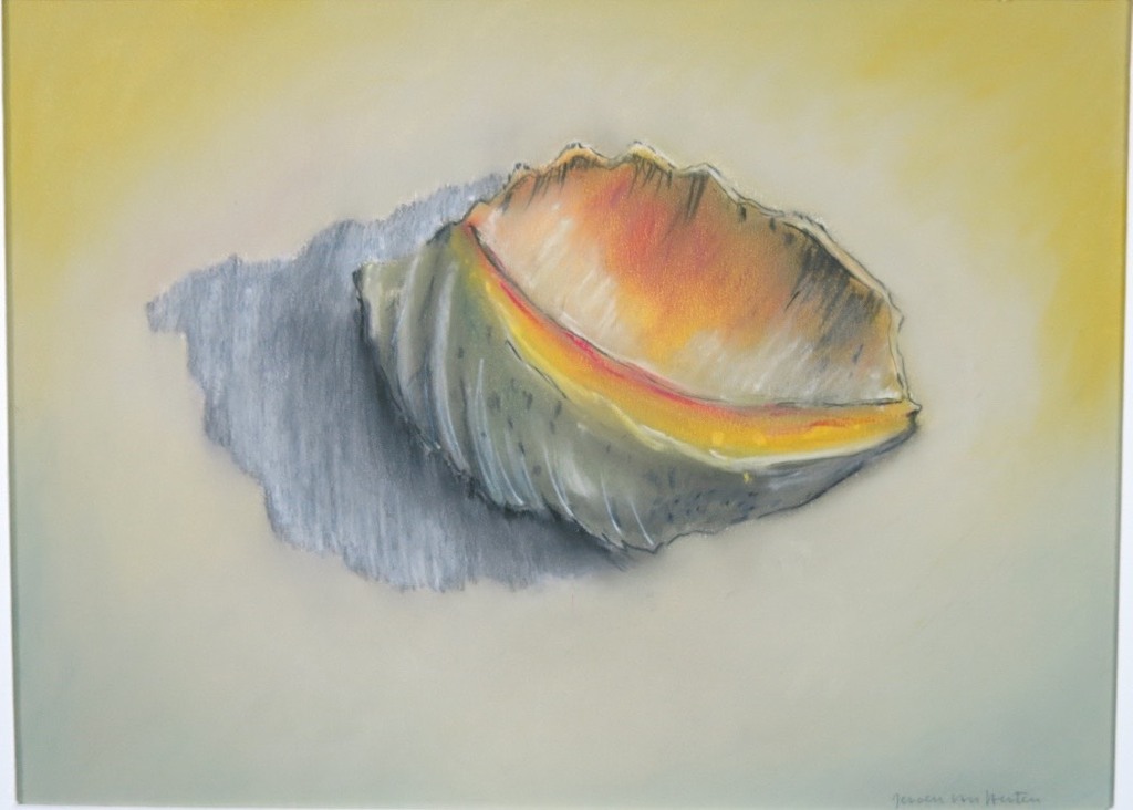 Onbekend gesigneerd: Pastel op papier, Schelp kopen? Bied vanaf 1!