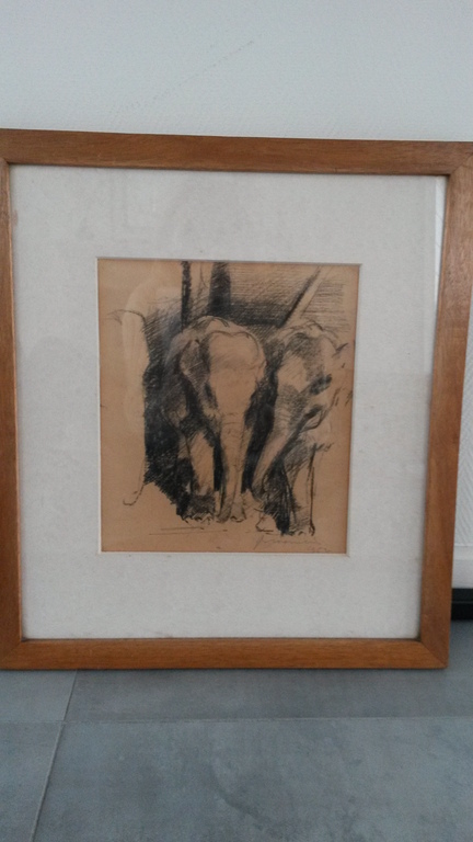 Jan Groenestein, tekening, olifanten, 1952. kopen? Bied vanaf 200!