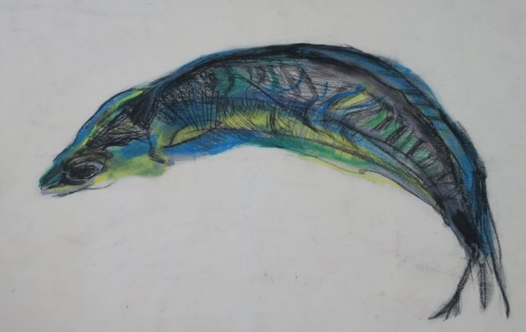 Eve Andrew: Pastelkrijt en potloodtekening, Fish kopen? Bied vanaf 20!