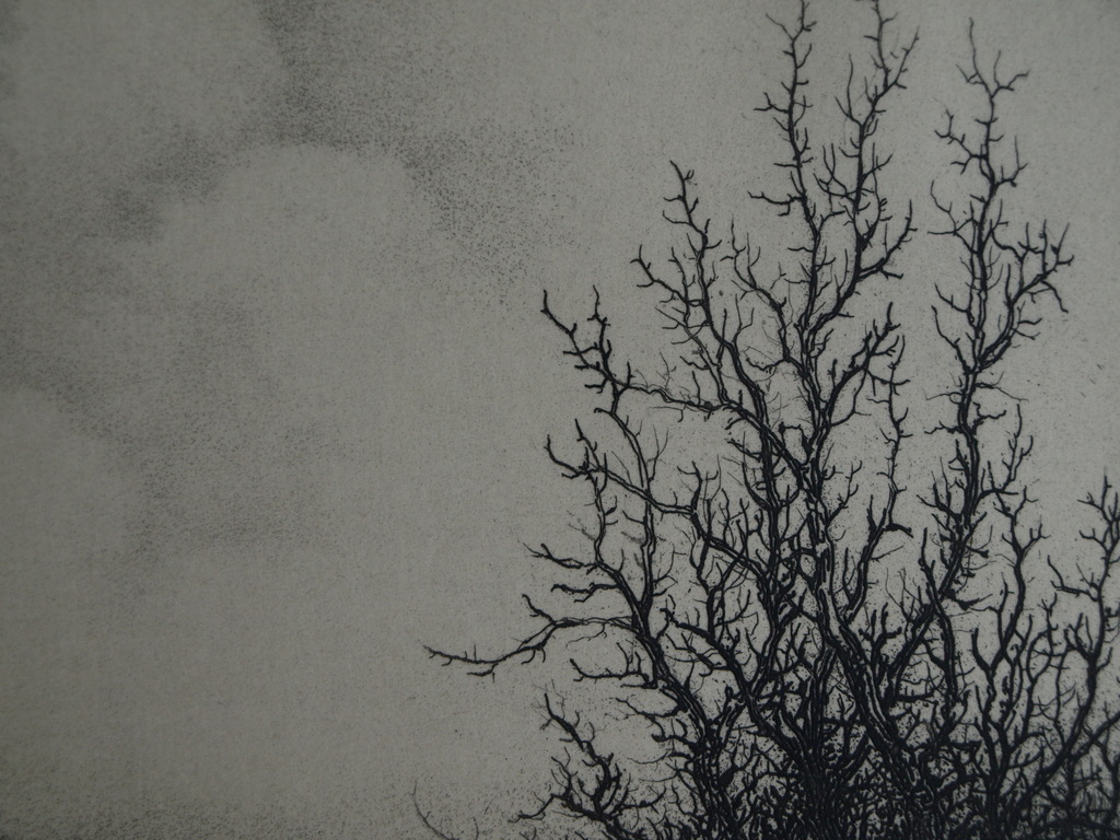 Dirk Harting (1884-1970) : Ets – Heesterplant – gesigneerd – 1946 kopen? Bied vanaf 1!