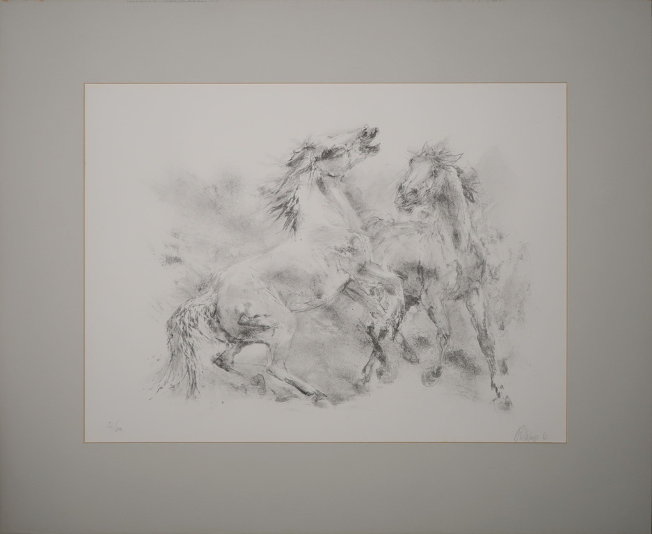 Piet Klaasse: Litho, Paarden kopen? Bied vanaf 1!