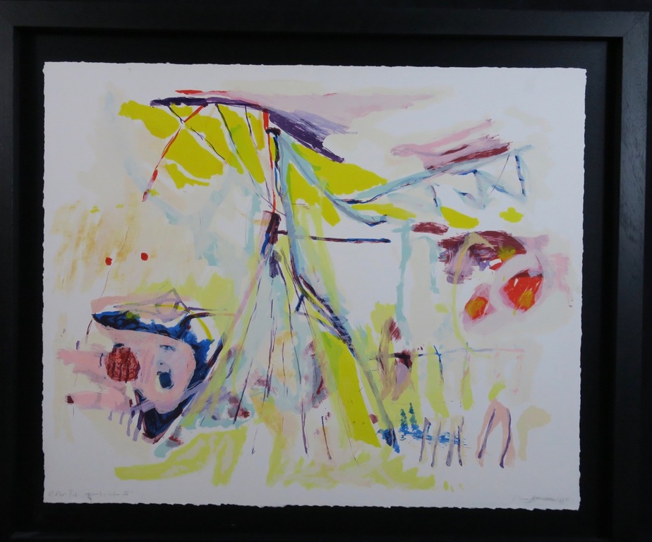 Ron Gennisse: Litho, Speelsdak IV - Ingelijst (groot) kopen? Bied vanaf 50!