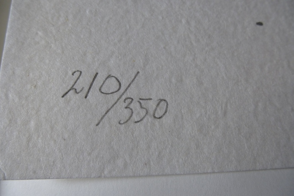 Klaas Gubbels: litho: Het graf, handgesigneerd, 2007 kopen? Bied vanaf 85!