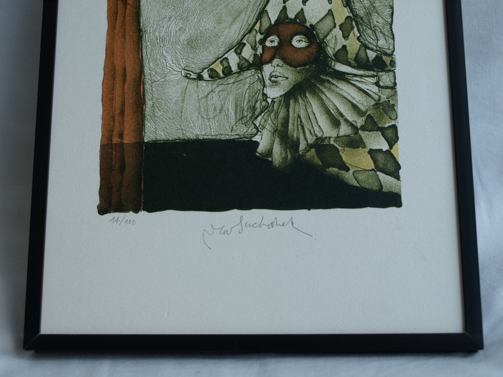 Vladimír Suchánek (1933) : Litho – Nar – Gesigneerd & ingelijst  kopen? Bied vanaf 45!