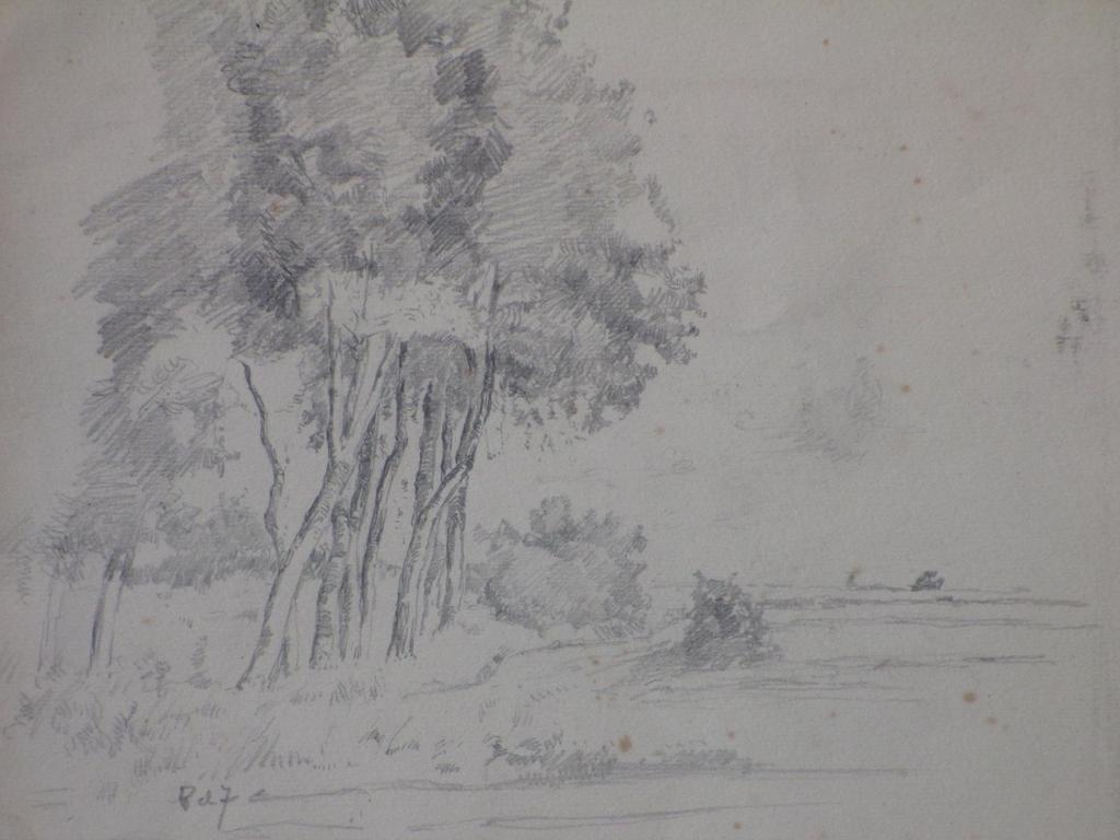 Pieter de Zwart, Polderlandschap met bomen, Tekening kopen? Bied vanaf 1!