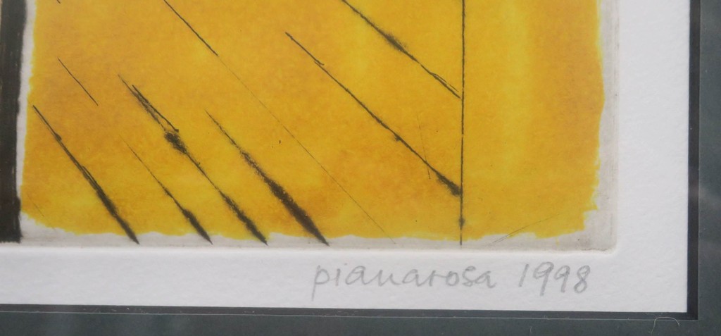 Margeritha Pianarosa: Ets, Venezia 9 - Ingelijst kopen? Bied vanaf 70!