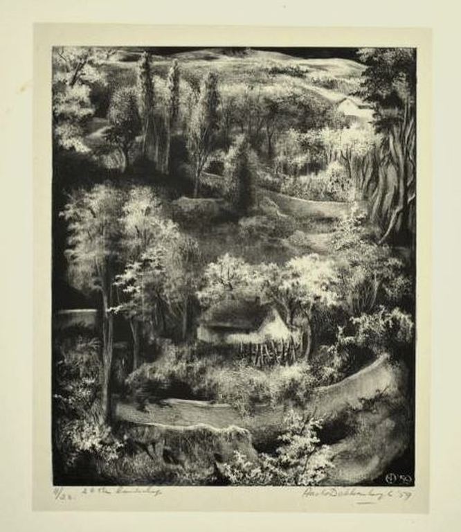 Aart van Dobbenburgh: Litho, 26ste landschap verkocht voor € 81!
