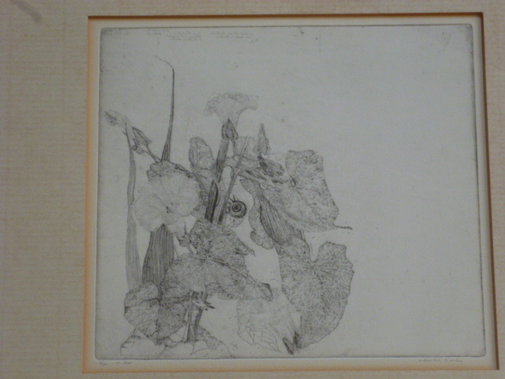 Charles Donker - ets - Slakje kopen? Bied vanaf 125!