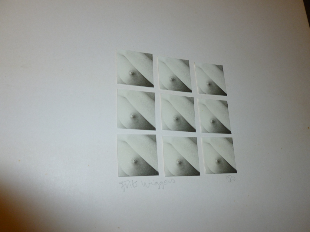 Tof werk van Frits Wiggers (Den Haag 1945).Foto-papiercollage. kopen? Bied vanaf 12!