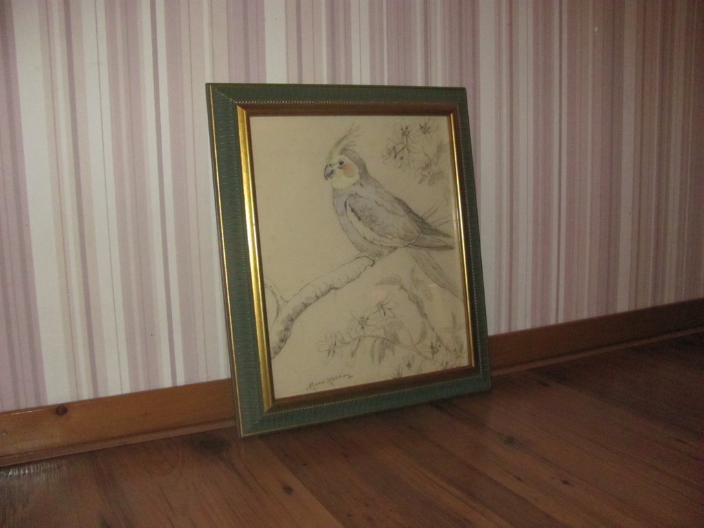 Marie Kelting (1886-1969) - gekleurde tekening van een valkparkiet kopen? Bied vanaf 10!