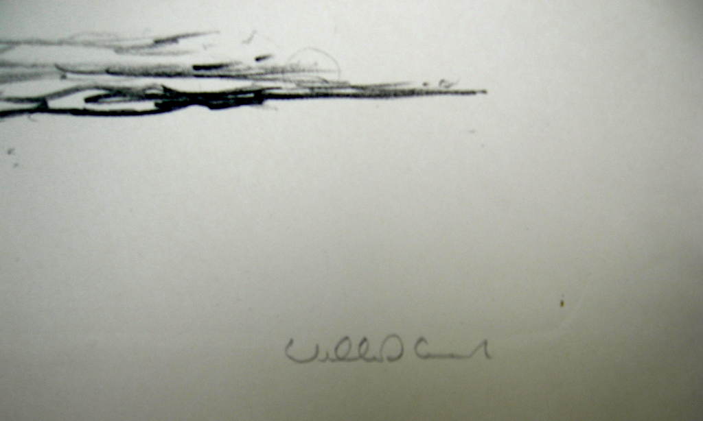 Kuik (toen nog William D.), litho: Het hoge land kopen? Bied vanaf 25!