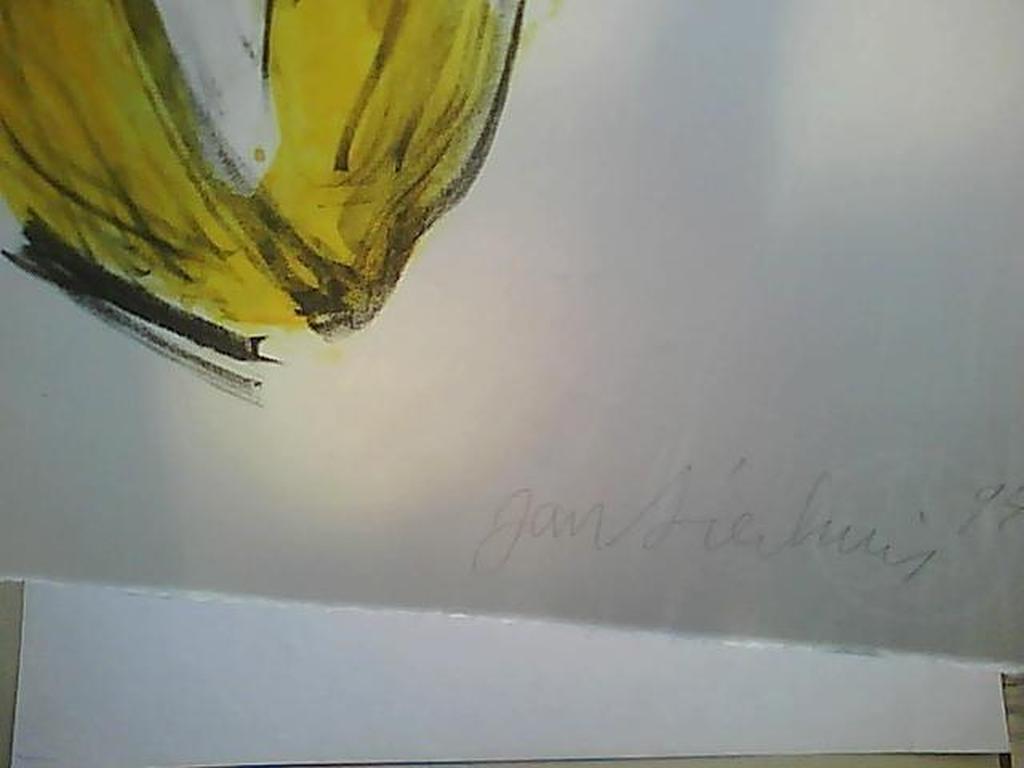 Jan Sierhuis Kleurenlitho kopen? Bied vanaf 50!