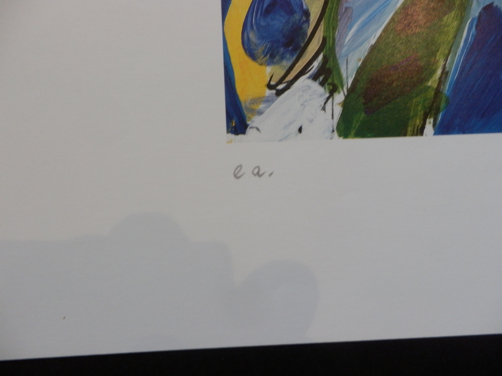 PETER DIEM  Handgesigneerde Zeefdruk  FLYING COVVS OVER TULIPFIELDS kopen? Bied vanaf 1!