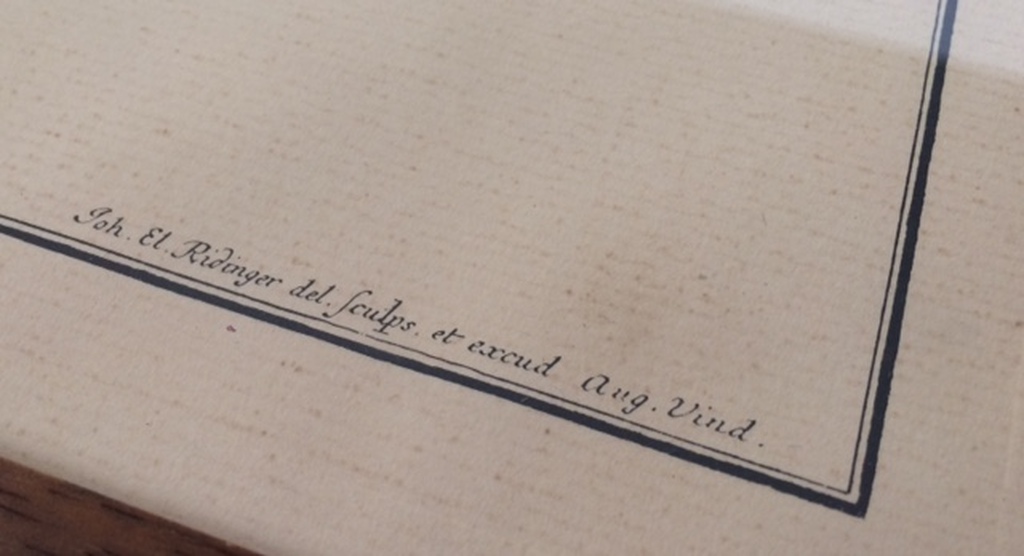 Ets - Johann Elias RIDINGER (Ulm 1698, Augsburg 1767) kopen? Bied vanaf 50!