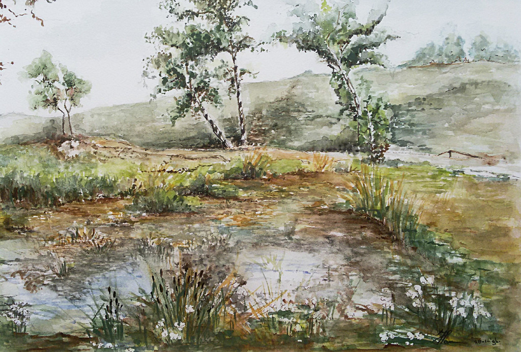 Landschap, aquarel (mooi ingelijst) kopen? Bied vanaf 1!