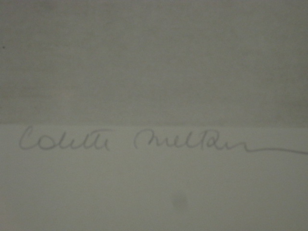 Colette Meltzer (1946-) grote Litho "Melody" gesigneerd 82/150 kopen? Bied vanaf 1!