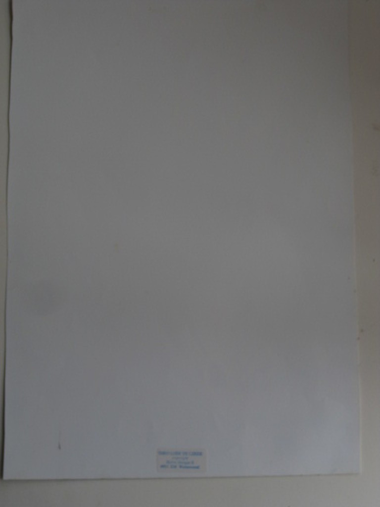 theo Lode de Leede 1934-2004 - unica z/w foto "orientaals model" niet gesigneerd kopen? Bied vanaf 1!