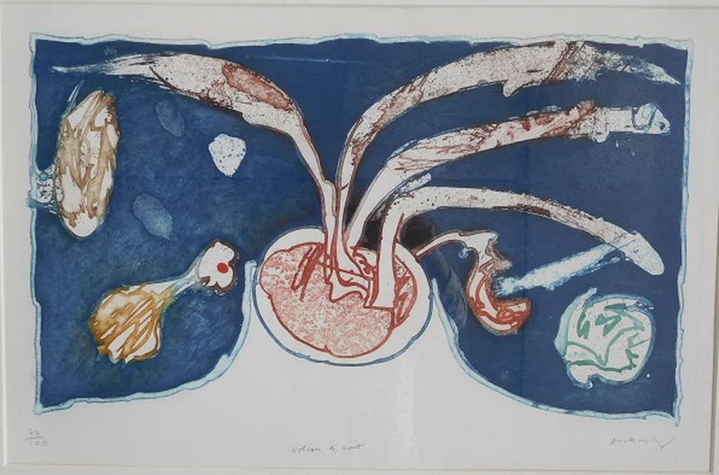 Pierre Alechinsky, Ets/ Aquatint, Titel "Volcan de Nuit", Nummer 74/100, 1972 kopen? Bied vanaf 650!