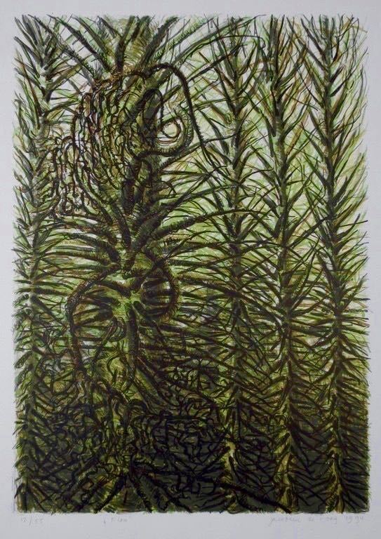 Jacobien de Rooij: Litho, Flou kopen? Bied vanaf 1!