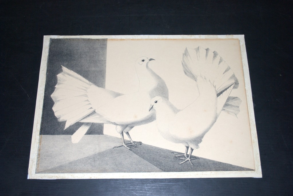 Jo van Oosten Slingeland -- prachtige litho van twee siervogels  kopen? Bied vanaf 1!