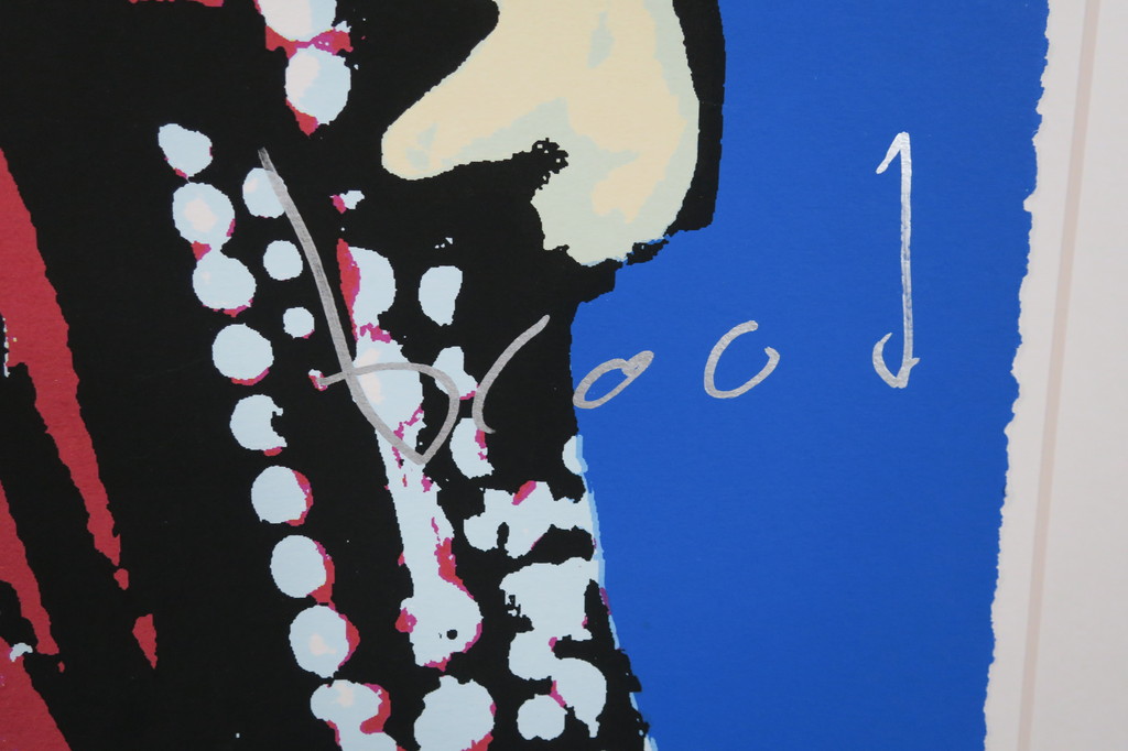 Herman Brood: Zeefdruk, Johnny Meijer (Groot) kopen? Bied vanaf 150!