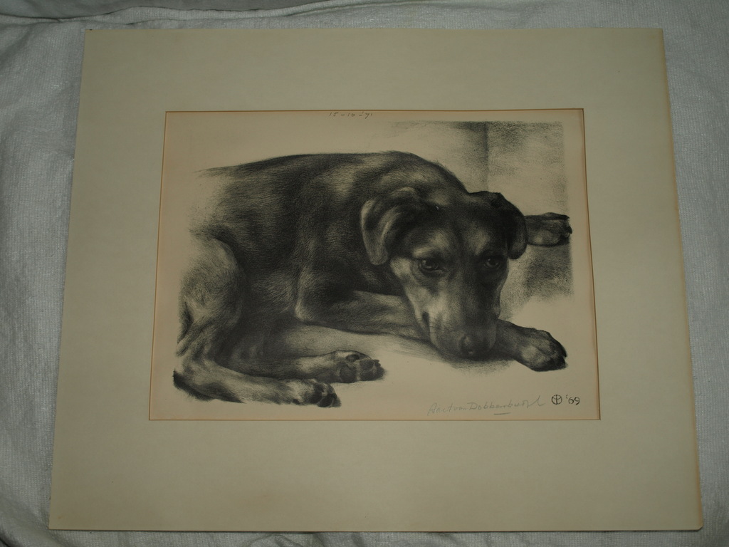 Aart van Dobbenburgh : Litho – Hond – Gesigneerd - 1969 kopen? Bied vanaf 1!