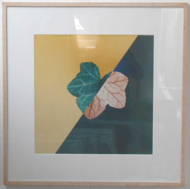 Jean Ruiter, kleurenfoto ( ingelijst). verkocht voor € 75!