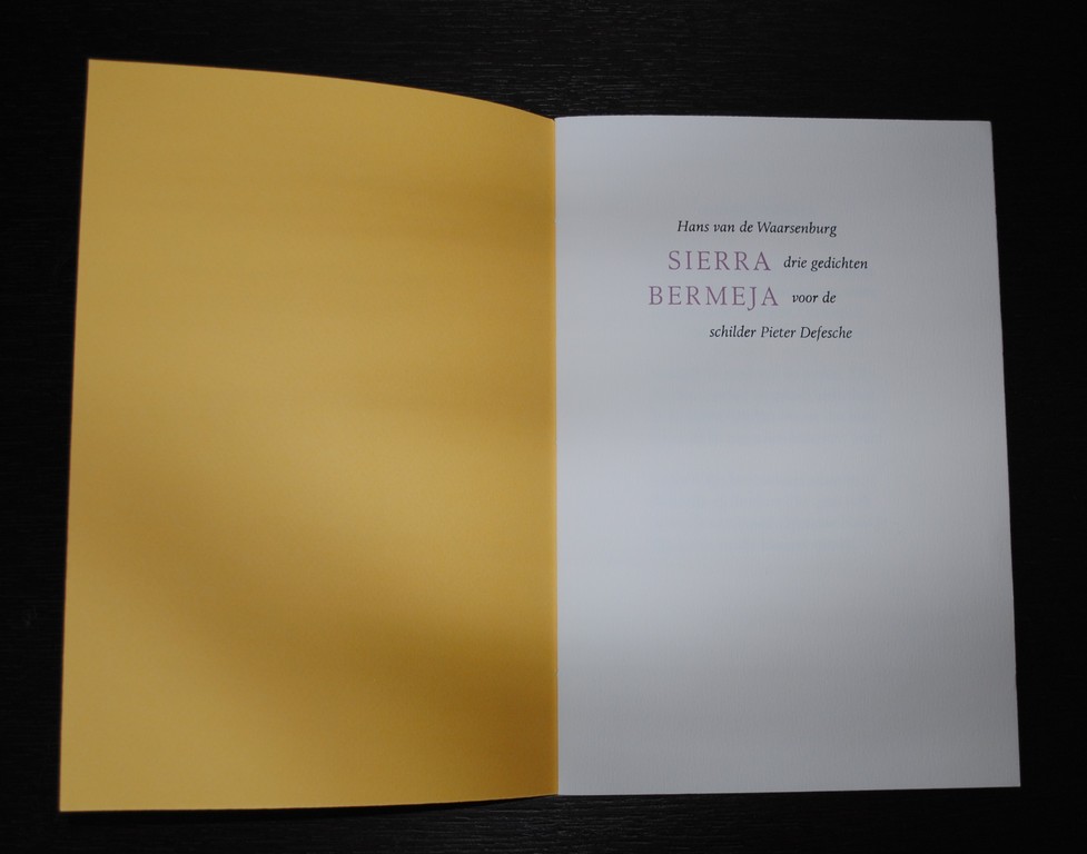 Sierra Bermeja: zeefdruk P. Defesche + 3 gedichten H. v.d. Waarsenburg - 1994 kopen? Bied vanaf 15!