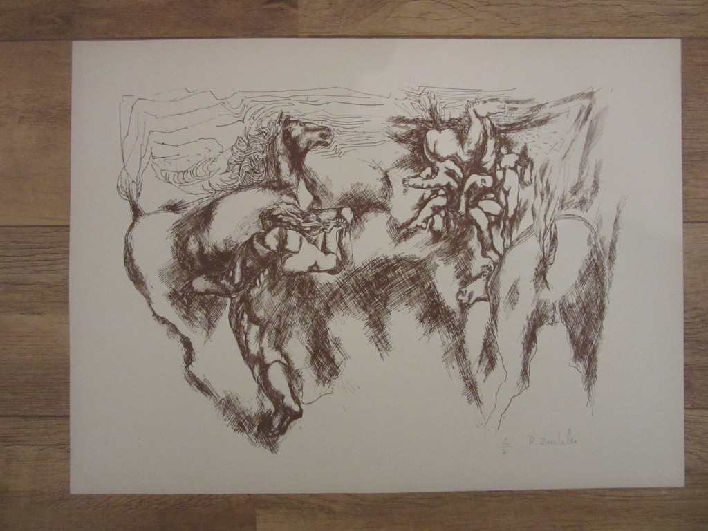 Pierre Zucchelli (1920) - litho 2/6, gesigneerd en genummerd kopen? Bied vanaf 39!
