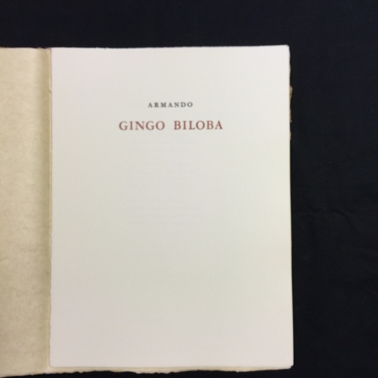 Armando: volledig portefolio met 4 ltho's en een gedicht van Goethe kopen? Bied vanaf 200!